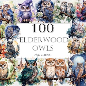 Elderwood Owl Aquarell Clipart Bundle - 100 Magische Märchen Eulen Abbildungen,Niedliches Märchenbuch,PNG,Sofortiger digitaler Download,kommerzielle Nutzung