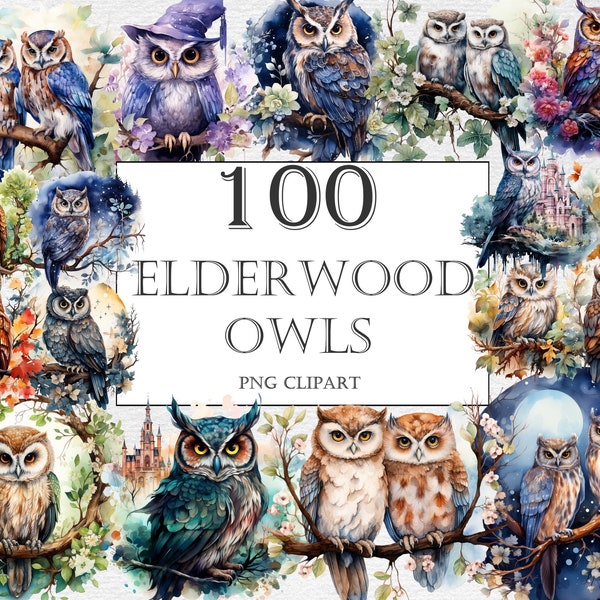 Elderwood Owl Watercolor Clipart Bundle - 100 Magical Fairytale Owl Illustrations,Cute Storybook,PNG,Instant Digital Download,Commercial Use