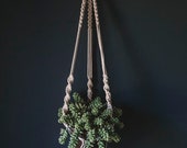 Macrame indoor plant hanger