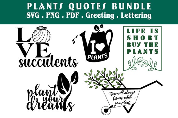 Download Quotes Lettering Plants Succulent Cactus Houseplants Svg Etsy