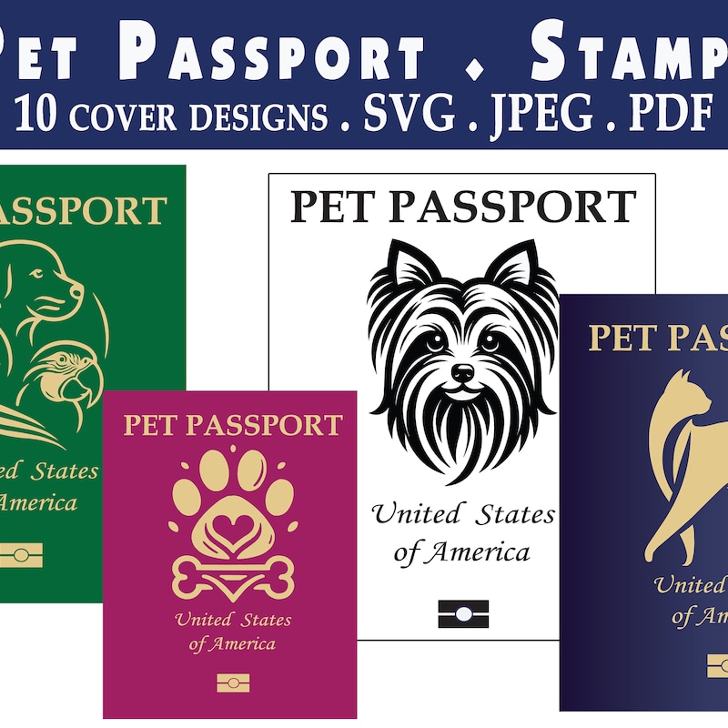 Usps Passport Forms Ds 82 - Etsy Canada