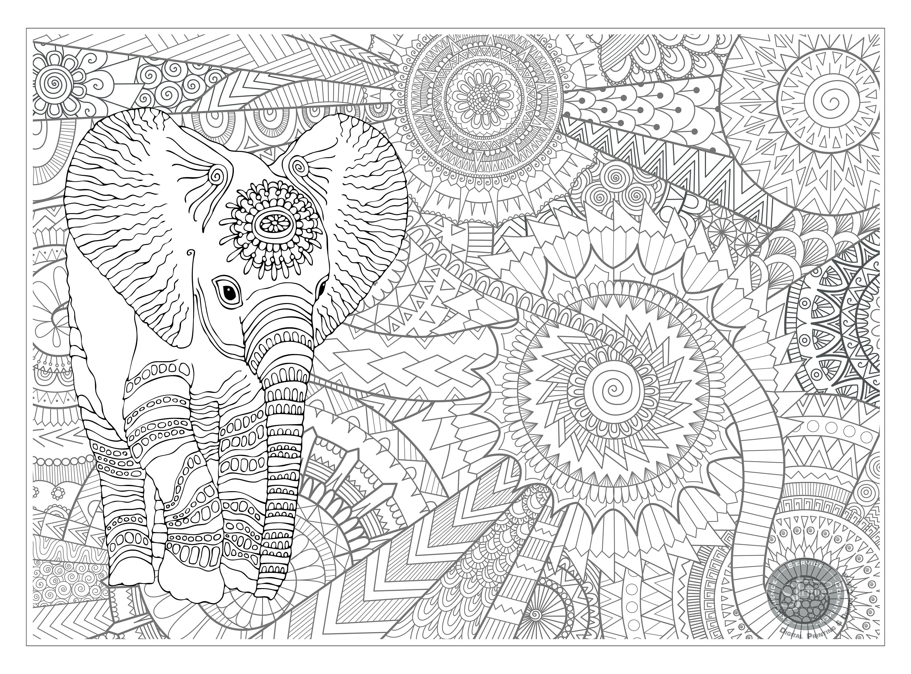 Giant Coloring Posters for Kids, Adults Mandala Elephant Poster Great for  Family Time, Senior Care Facilities, Schools, Group Activities 