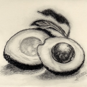 AVOCADO PENCIL SKETCH - Art Print 10&quot;x6&quot; unframed
