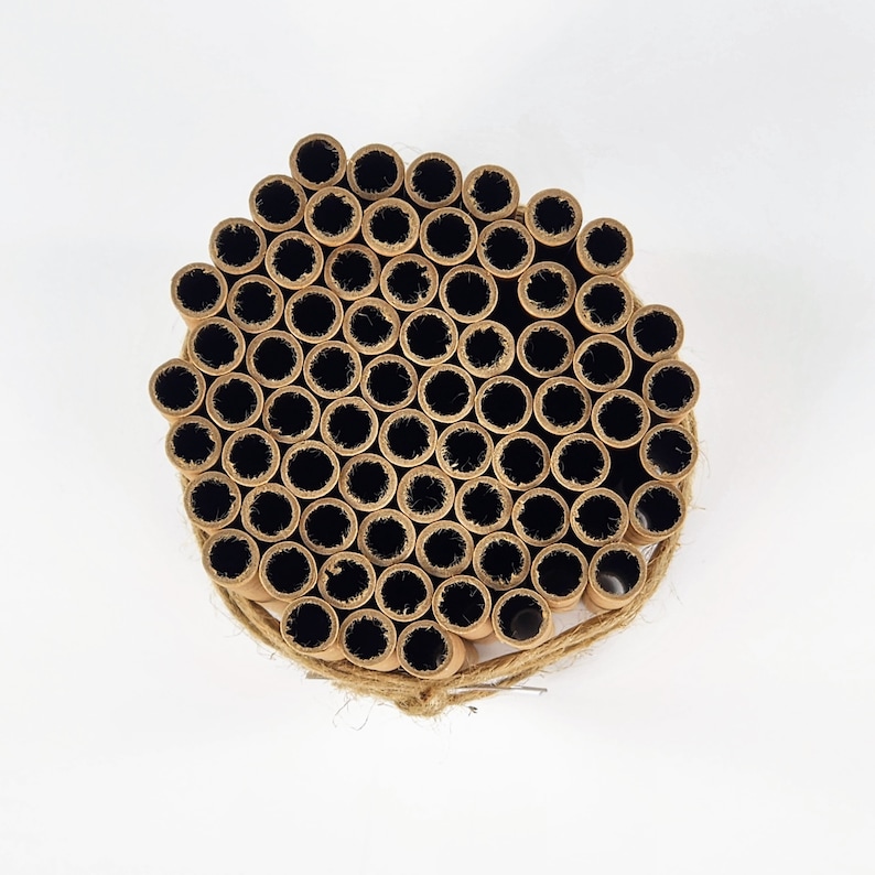 Cardboard Nesting Tubes Bee House Tubes Bee House Nesting Etsy