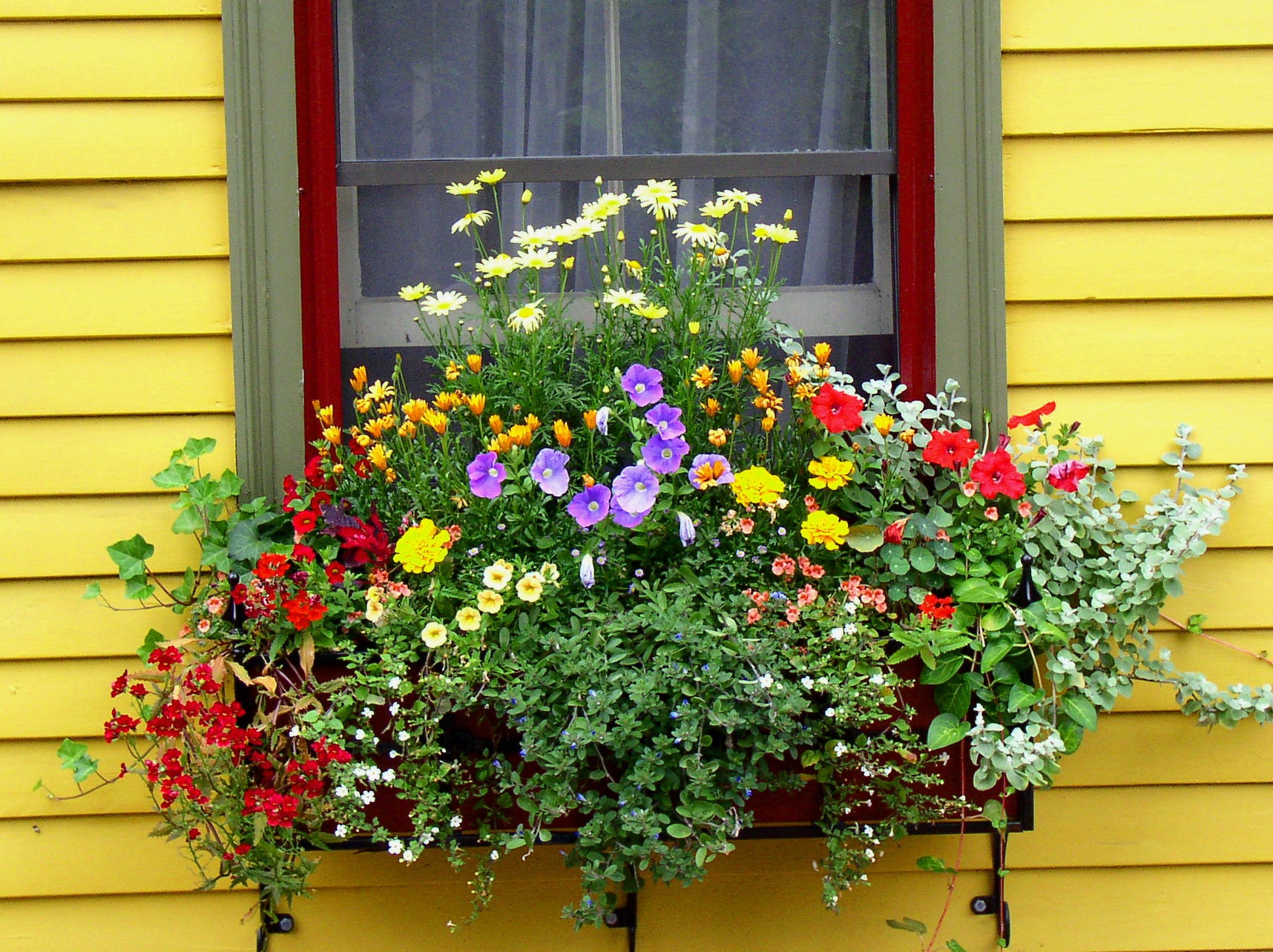 Window Box Etsy