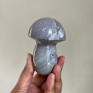 Ocean “sea” jasper mushroom