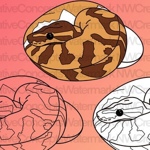 Snake SVG, Piebald Ball Python Snake SVG & PNG Download