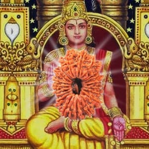 Może przedstawiać: Zbliżenie pomarańczowego ziarna Rudraksha, używanego w hinduizmie. Ziarno jest umieszczone na tle bóstwa na złotym tronie, ozdobionym skomplikowanymi detalami i żywymi kolorami.