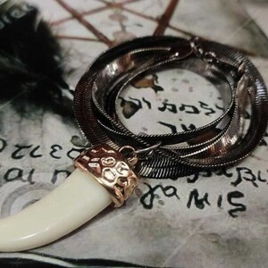 May include: A silver chain necklace with a white tooth pendant. The pendant has a gold-colored design and is set against a background of a book with writing.