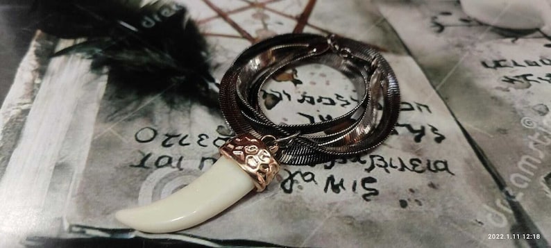 May include: A silver chain necklace with a white tooth pendant. The pendant has a gold-colored design and is set against a background of a book with writing.