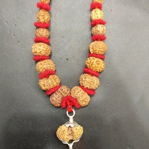 Rudraksha Siddha Mala - Collector Size /Combination of 1 Mukhi Till 14 Mukhi Rudraksha With Gauri Shankar and Ganesh Rudraksha