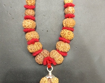 Rudraksha Siddha Mala - Collector Size /Combination of 1 Mukhi Till 14 Mukhi Rudraksha With Gauri Shankar and Ganesh Rudraksha