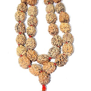 SPIRITACHARYA Rosary Original 3 Mukhi Rudraksha Kantha RudrakshaAgni Siddha Mala - Nepali Bead Rudraksha Mala 15 To 20 MM Beads Khanta