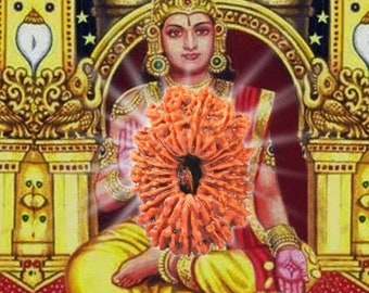 May include: A depiction of a Hindu deity seated on a throne, with a large, orange-red, intricately carved seed pod in front of them. The seed pod is surrounded by a bright light.