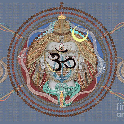 奇跡　ルドラクシャマーラー　トップ14ムキ ルドラクシャマーラー トップ0ムキ ベース0ムキ、5ムキ 奇跡