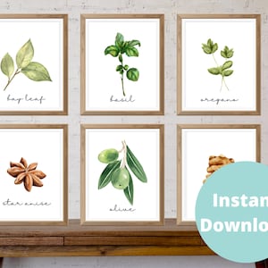 Watercolor Herbs Art Prints | Includes 24 prints | Spices | 5x7 | 8x10| 11x14| Digital Printable | Kitchen Art & Decor