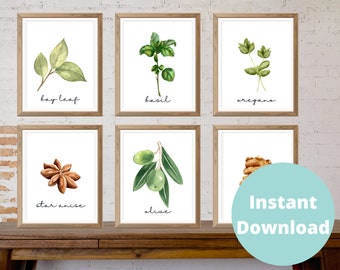 Watercolor Herbs Art Prints | Includes 24 prints | Spices | 5x7 | 8x10| 11x14| Digital Printable | Kitchen Art & Decor