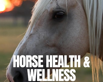 May include: Close-up of a horse's head with a light-colored coat and mane. The text "HORSE HEALTH & WELLNESS" is overlaid on the image. The background features a blurred sunset.