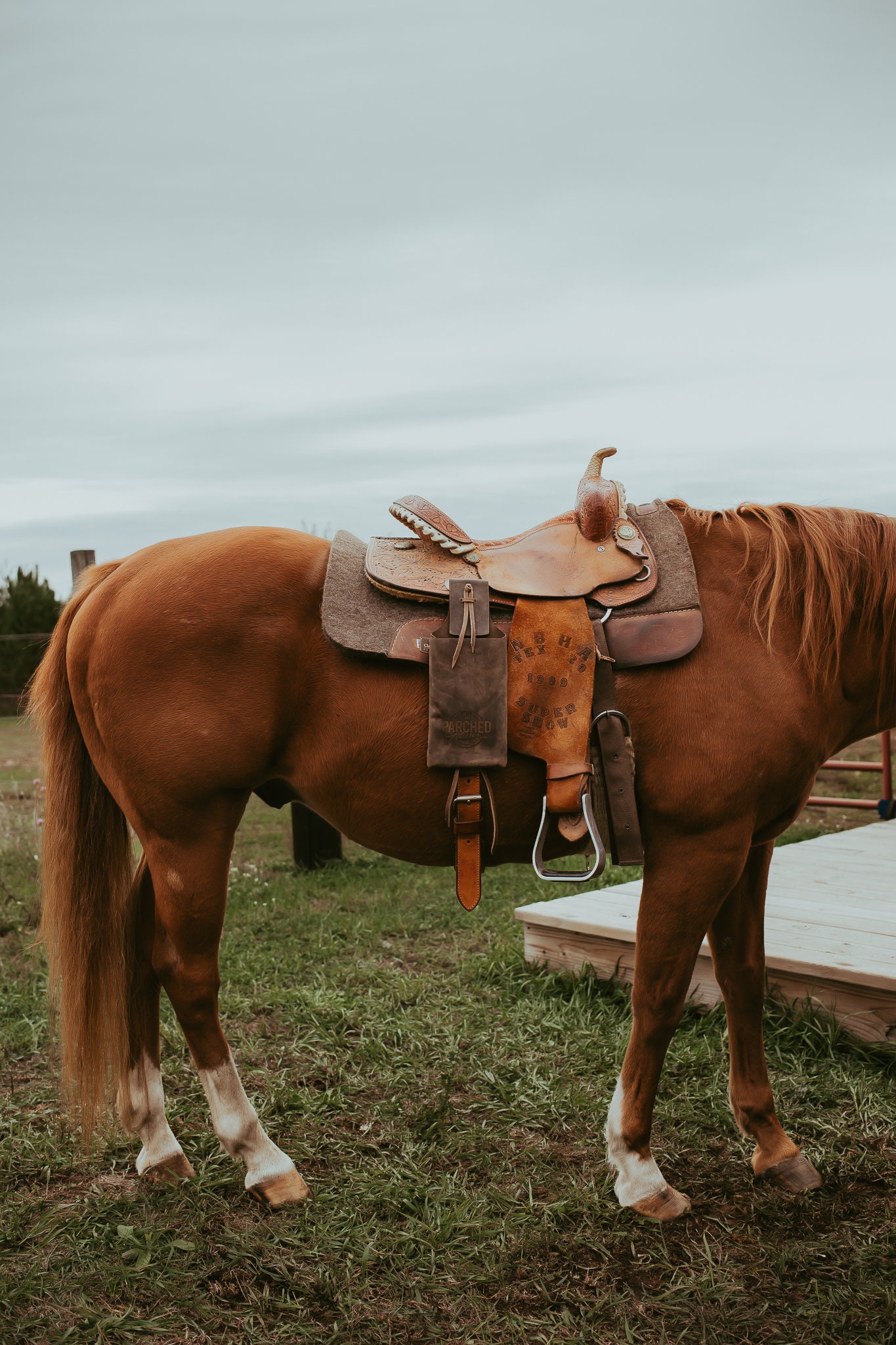 Leather Saddle Drink Holder, Saddle Phone Holder for Cowboys, Trailer Riders, Ranchers, Rodeos, Saddle Clubs, Cowgirl Gear, Horseback Riding