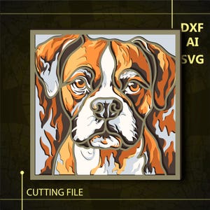 May include: A close-up of a brown and white boxer dog's face. The dog has a serious expression and its fur is detailed with different shades of brown and white.