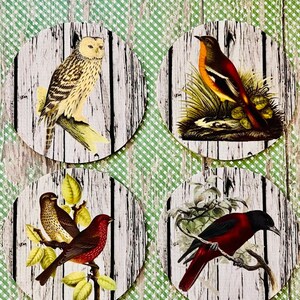 Birds Coaster Set of 4, Vintage Look coaster sets, Bird Gifts, unique gifts retro coasters, vintage gifts, farmhouse decor, Vintage Birds
