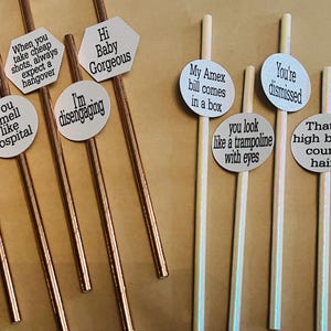 Salt Lake City Housewives fun party straws, RHOSLC, Housewives straws, Housewives of Salt Lake City Party, Bravo , Housewives Party Bild 1