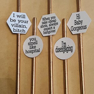 Salt Lake City Housewives fun party straws, RHOSLC, Housewives straws, Housewives of Salt Lake City Party, Bravo , Housewives Party Hi Baby Gorgeous Set