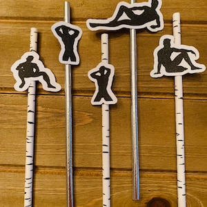 Bachelorette party straws, GNO, Girls Night Out, Bachelorette, Wedding, Paper Straws, Party Straws, Male Stripper