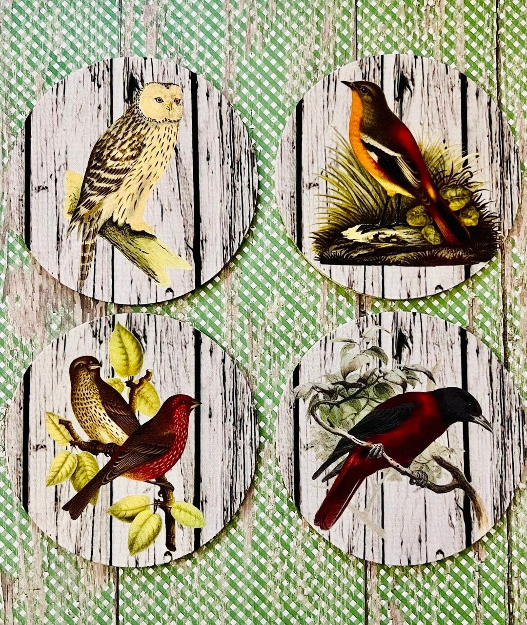 Vintage Bird Coaster Set: Retro Farmhouse Decor, Set of 4 - Etsy