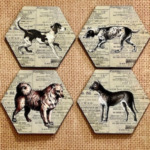 Dogs on Vintage Newspaper Coaster Set of 4, Vintage Look coaster sets, Dogs Gift unique gifts retro coasters, vintage gifts, farmhouse decor