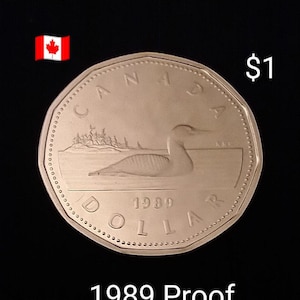 1989 Canadian Loonie Proof. Canada One Dollar Coin 22i05t15a ...