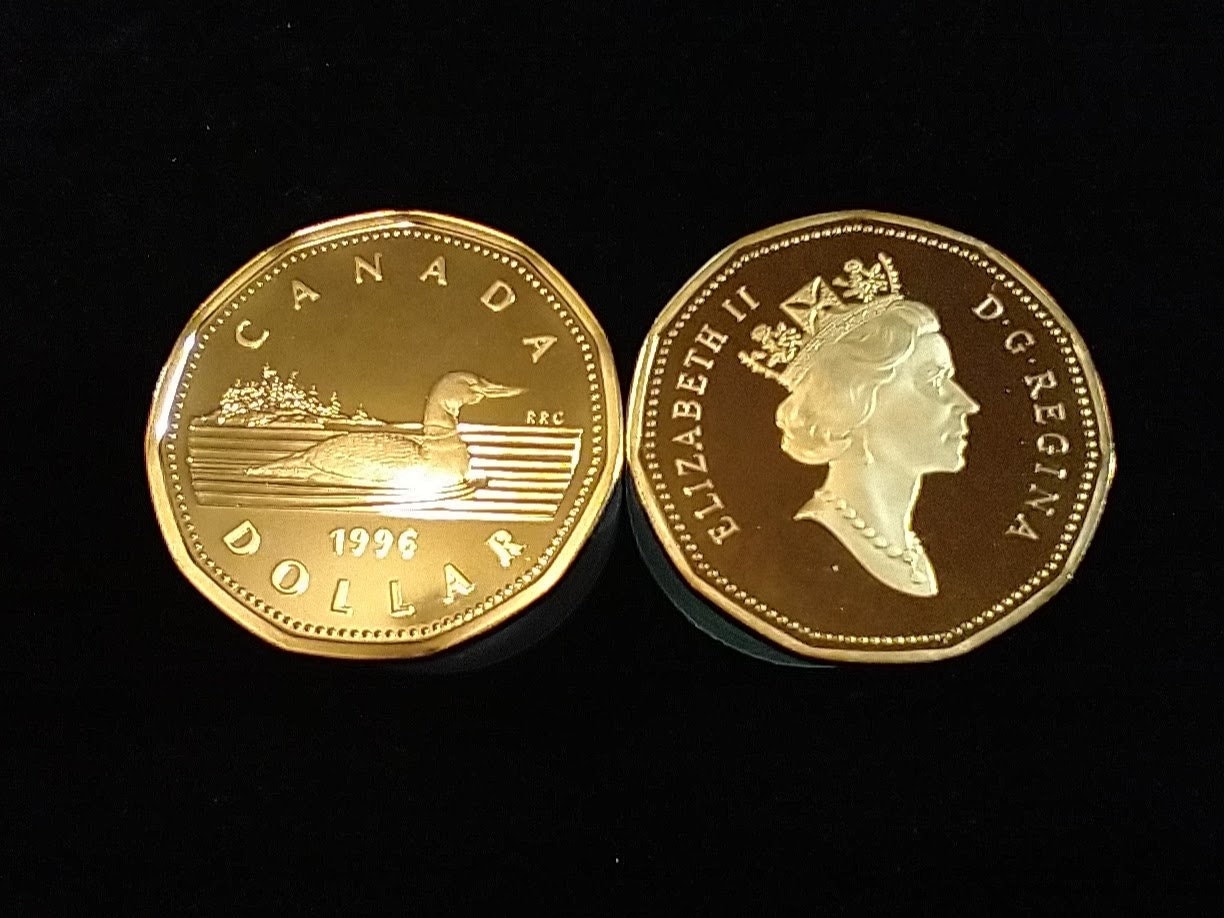 カナダ 1996年未流通コイン ルーニー　専用ケース カナダ 1996年未流通コイン ルーニー 専用ケース