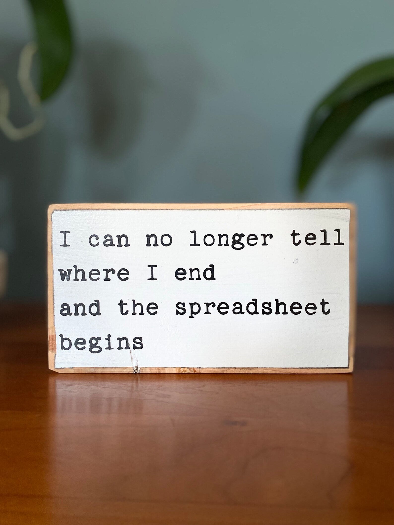 Decorazione Da Scrivania Con Slogan Divertente – Blocco In Legno What (and I Cannot Stress This Enough) The F*ck – Regalo Per Amici E Colleghi