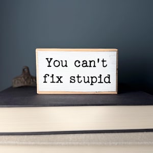 Funny Wood Desk Sign - You Can't Fix Stupid, Cubicle Decor