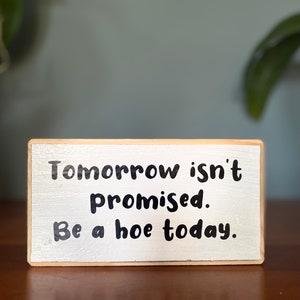 Tomorrow isn't promised. Be a hoe today - office desk wood sign -wooden shelf sitter-cubicle quotes-gifts quotes-funny presents with sayings