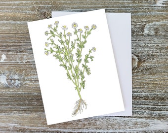 Chamomile painting,Wild flowers Card SET,Flowers Painting,Blank notecard inside,Floral Bouquet,Floral Art,Floral Painting,Botanical Art Card