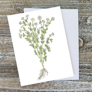 Pintura de manzanilla, Tarjeta de flores silvestres, Pintura de flores, Tarjeta con notas en blanco en el interior, Ramo de flores, Arte floral, Pintura floral, Tarjeta de arte botánico