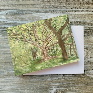Carte de voeux aquarelle forêt - Carte de correspondance vierge avec des arbres verts luxuriants, des bois paisibles, une peinture de la nature pittoresque, des oeuvres d'art en plein air paisibles