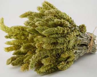 Organic Greek Olympus Mountain Herbal Tea Sideritis scardica 100g-200g