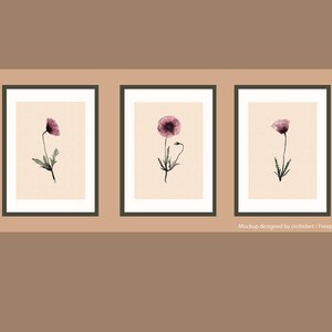 Druckbare Mohnblumen Set, Triptychon, Digitales Poster, Sofort Download, Herbarium, Kräuter, Blumen, printable Datei, PDF-Datei, A4.