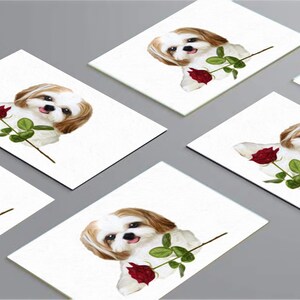 6pk Shih Tzu Cards/Notelets