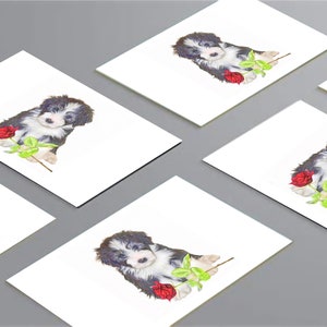 6pk  Bearded Collie Cards/Notelets