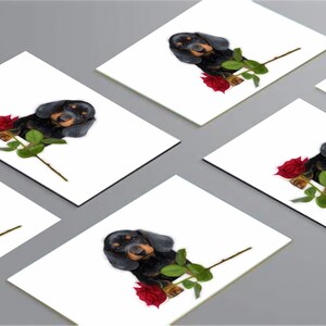 6pk Dachshund Card/ Notelets
