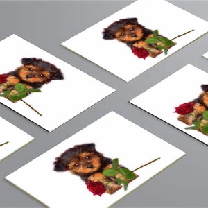 6pk Yorkshire Terrier Cards/Notelets
