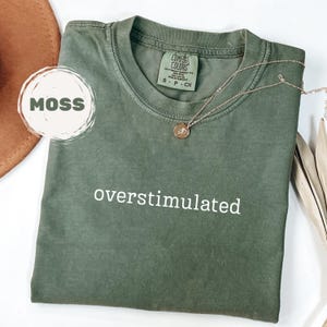 Comfort Colors® Overstimulated Shirt, Silly Unhinged T-Shirt, Minimal Cowboy Frog Tee, Gen Z Shirt Gift, Weirdcore Weird Stuff Funny TShirt