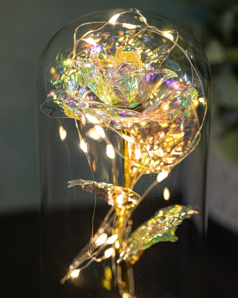 Galaxy Rose from Beauty and the Beast Rose In Glass Dome Etsy