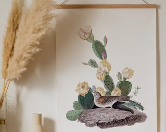 Cactus print | Vintage Cactus Illustration | Botanical Prints | Wall Art | Desert Art | Dorm room decor