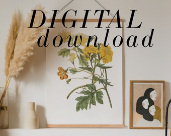 Digital Download Yellow flower artwork | Instant Download Wildflower painting | Printable Vintage wildflower print | Yellow flower printable
