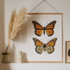 Vintage Butterfly Illustration Print: 1800s Botanical Art