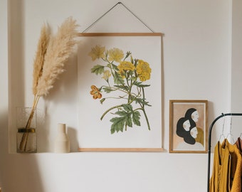 Vintage Rose Illustration Print: 1800s Botanical Art